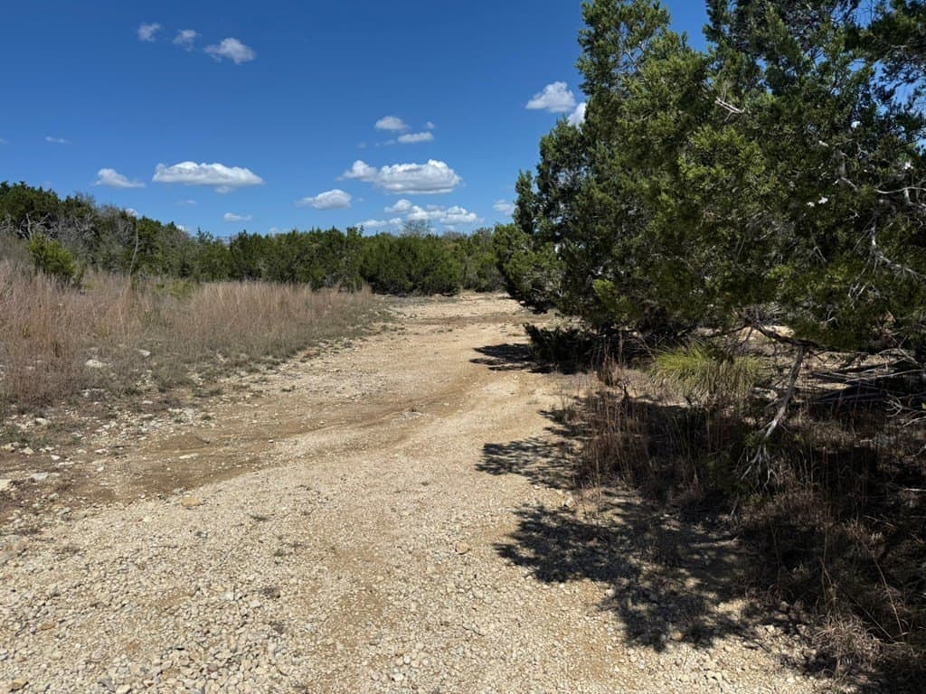 5 acres in Blanco County - photo 9