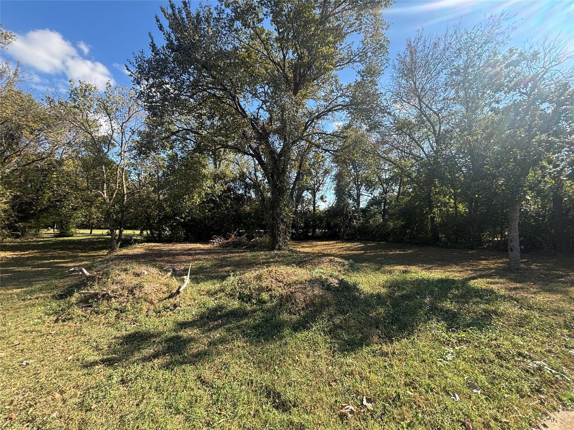 0.08 acres in Dallas County - photo 2