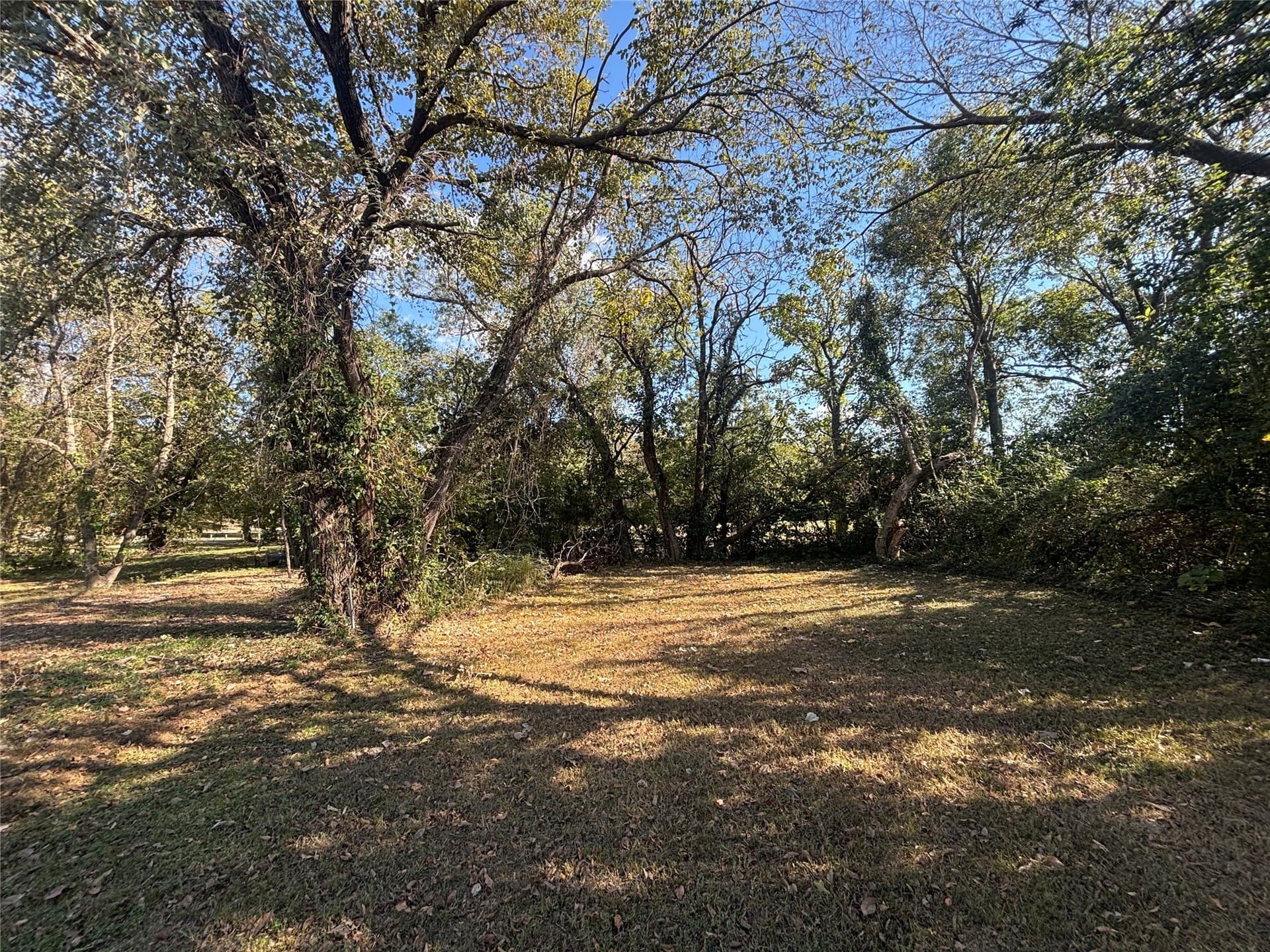 0.08 acres in Dallas County - photo 6