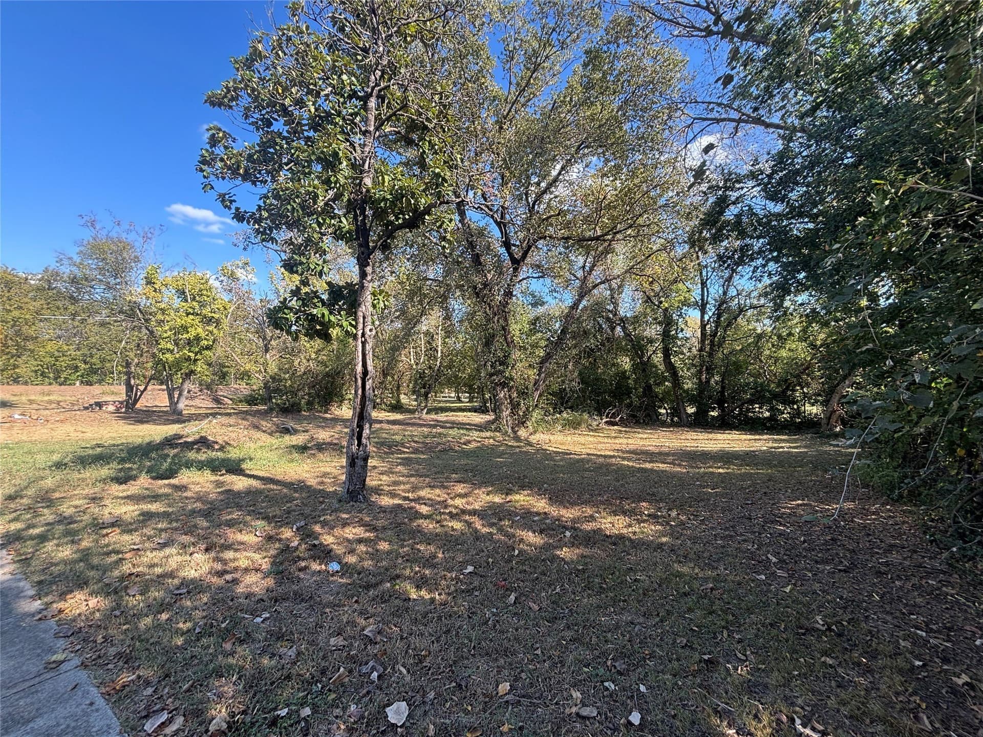 0.08 acres in Dallas County - photo 3