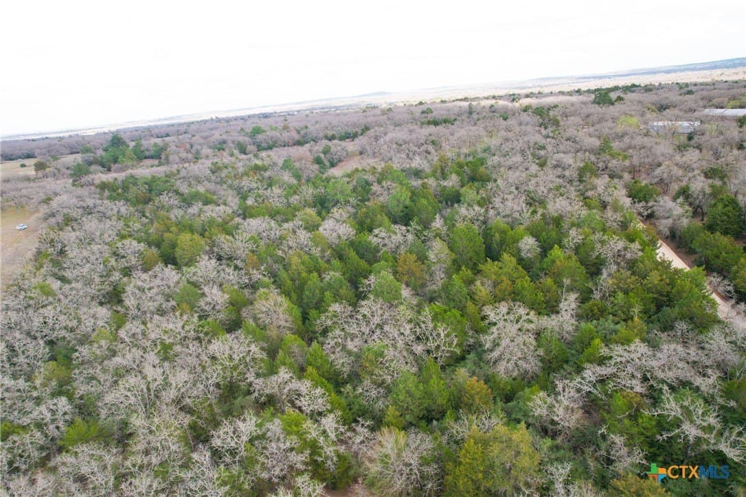 17 acres in Milam County gallery image 4