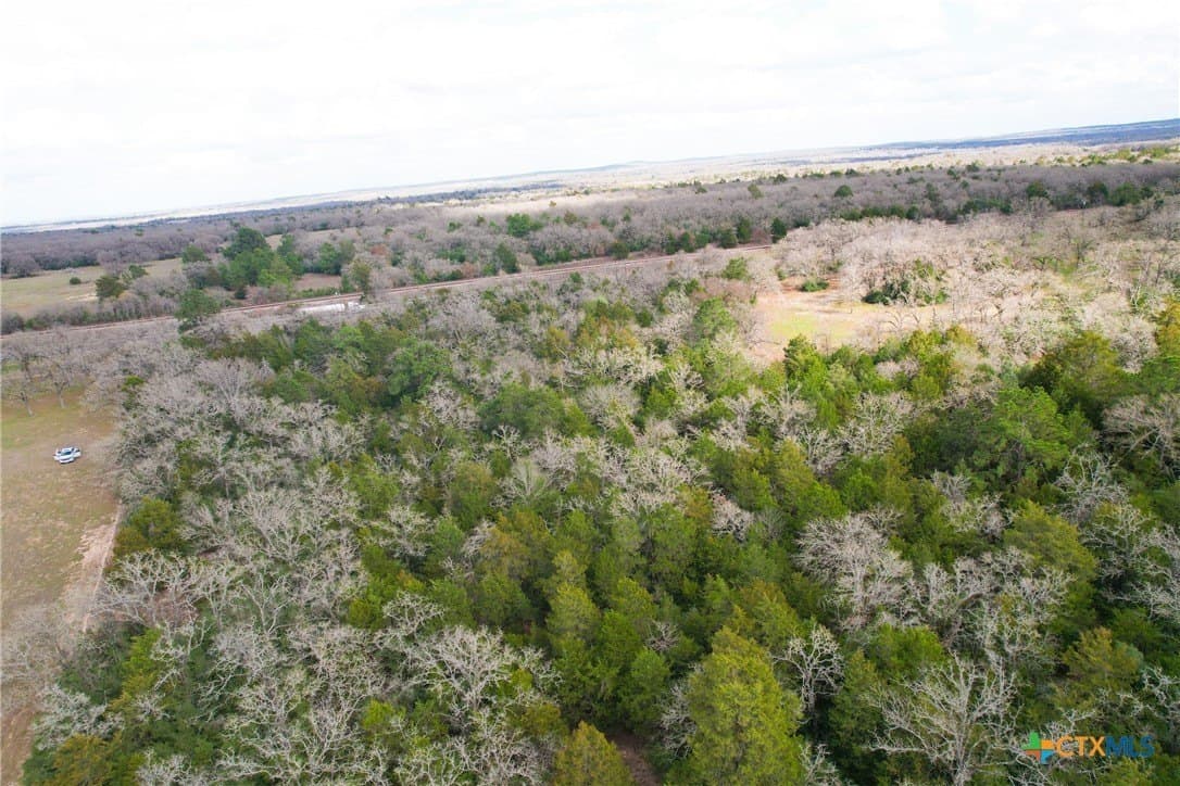 17 acres in Milam County gallery image 3