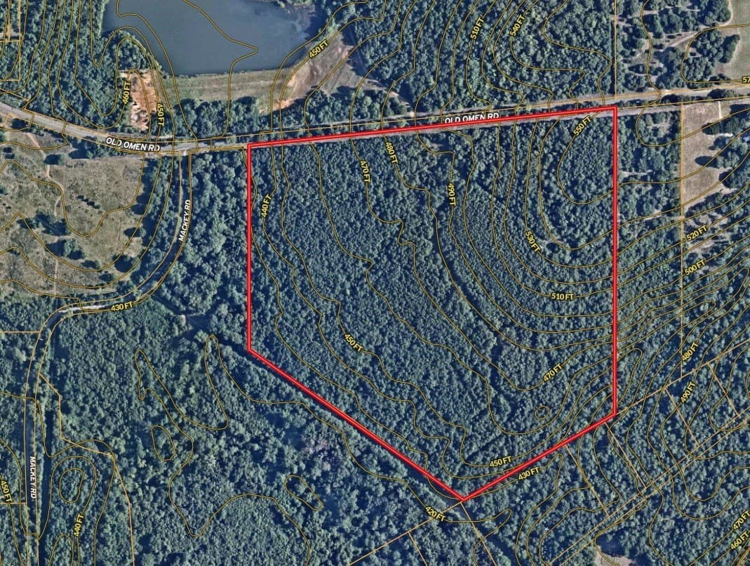 64.71 acres in Smith County gallery image 2