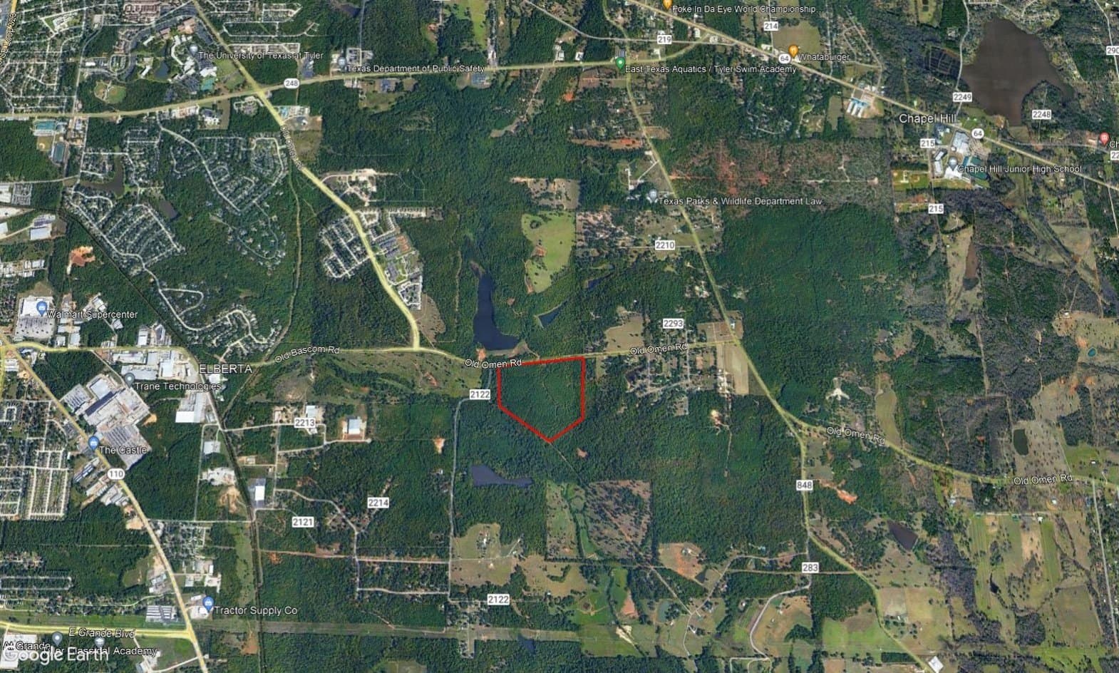 64.71 acres in Smith County gallery image 3