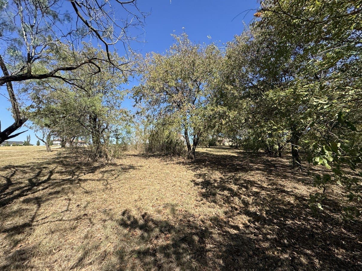 1.54 acres in Dallas County - photo 33