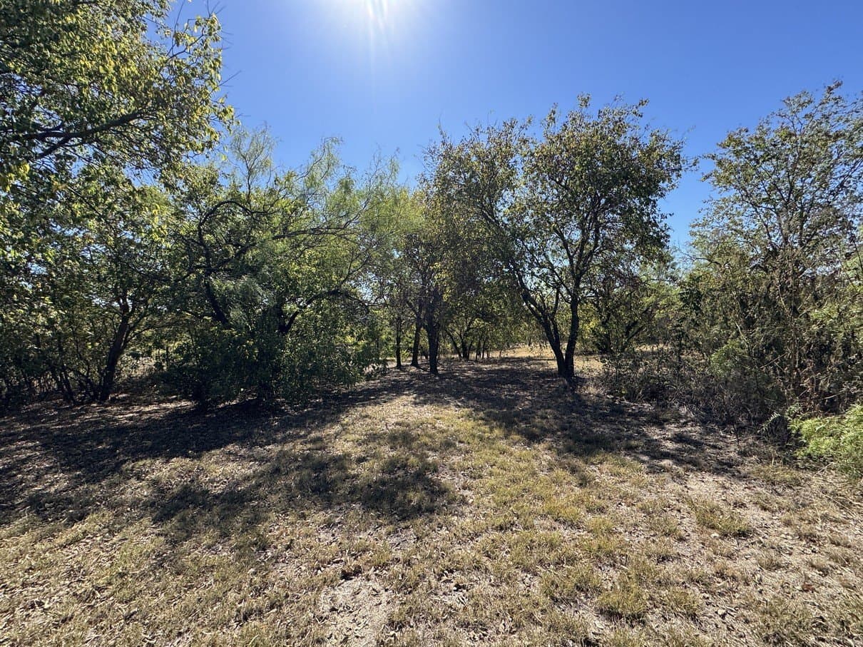 1.54 acres in Dallas County - photo 21