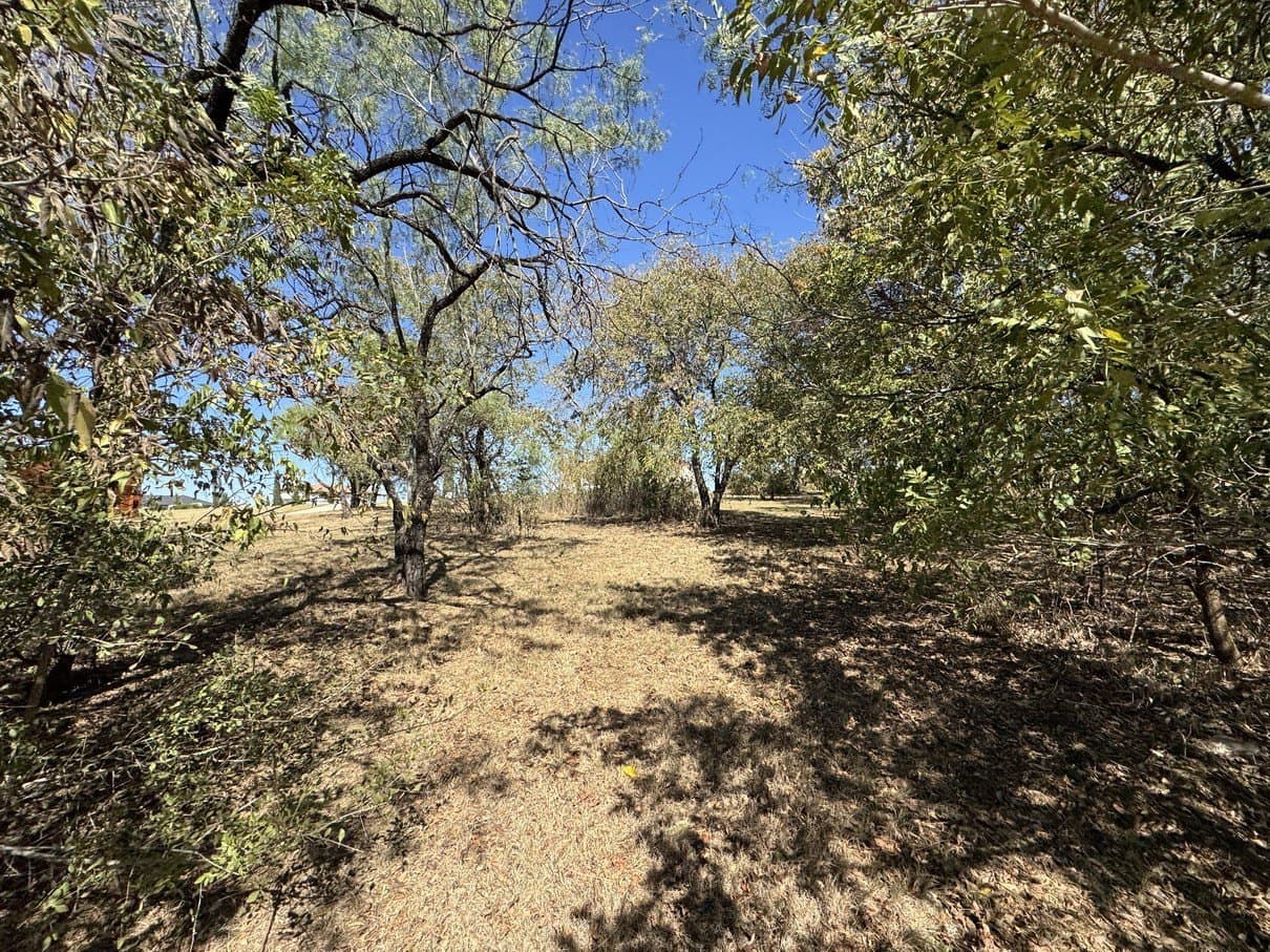 1.54 acres in Dallas County - photo 32