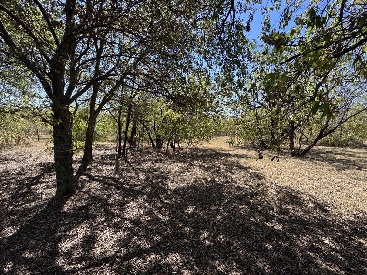 1.54 acres in Dallas County - photo 23