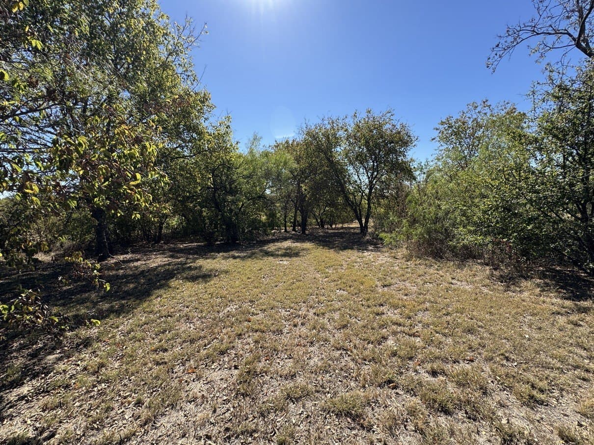 1.54 acres in Dallas County - photo 20