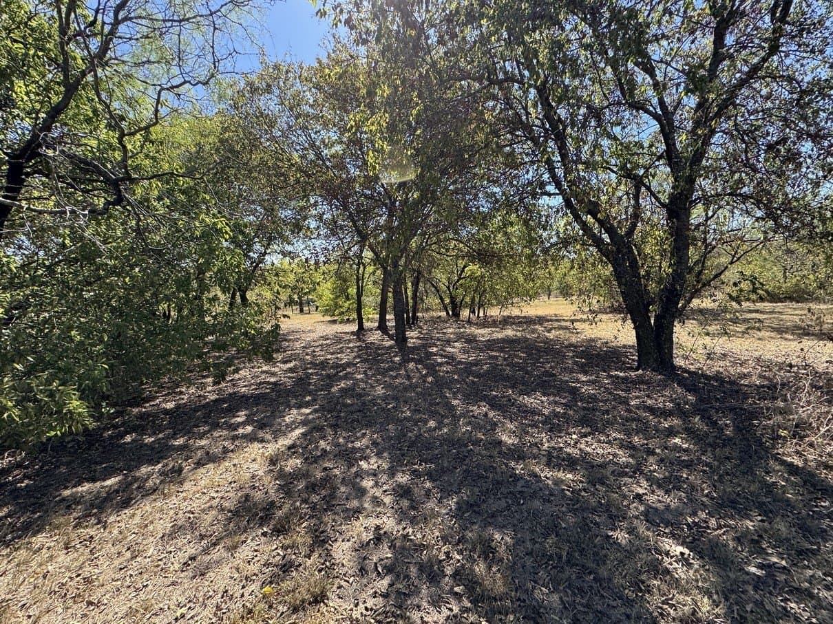 1.54 acres in Dallas County - photo 22