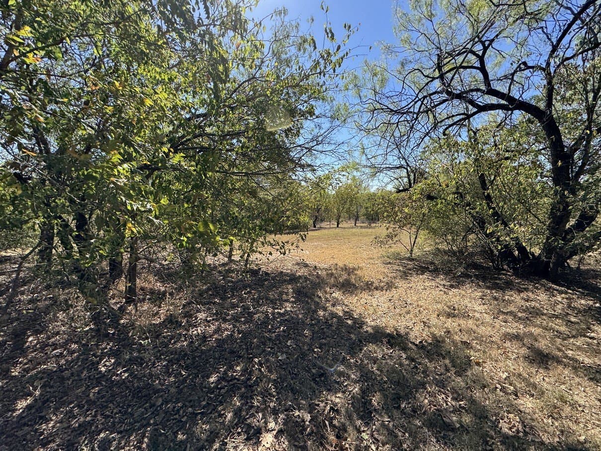 1.54 acres in Dallas County - photo 24