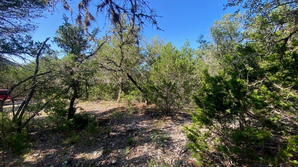 2.8 acres in Real County - photo 13