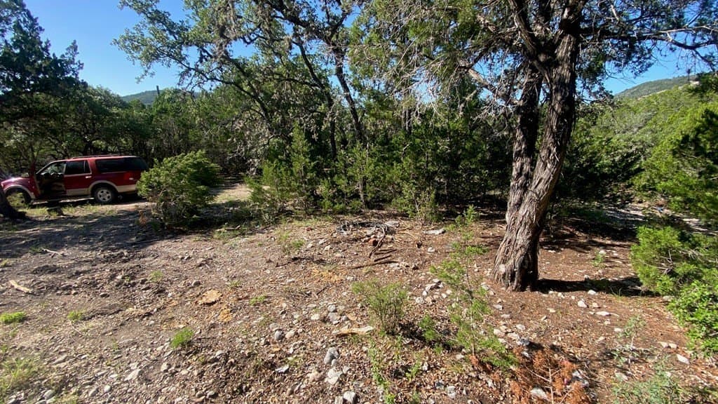 2.8 acres in Real County - photo 14