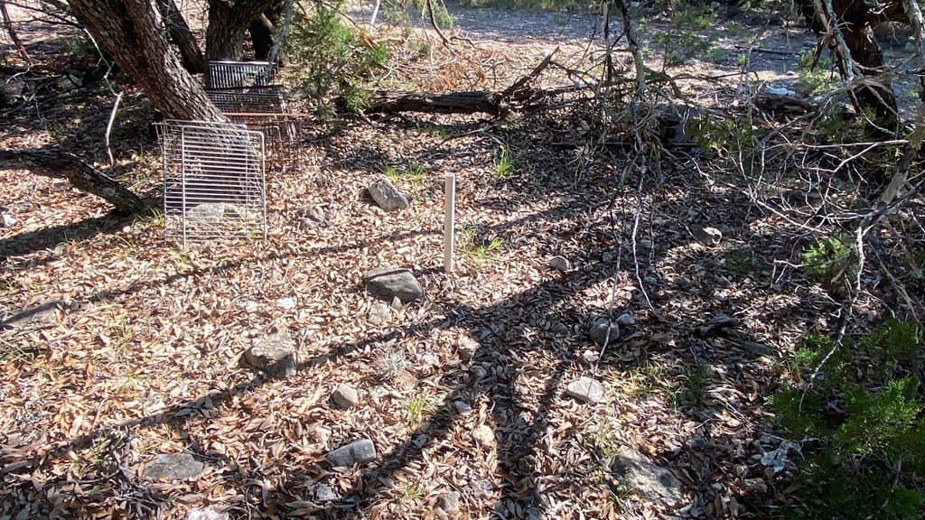 2.8 acres in Real County - photo 17