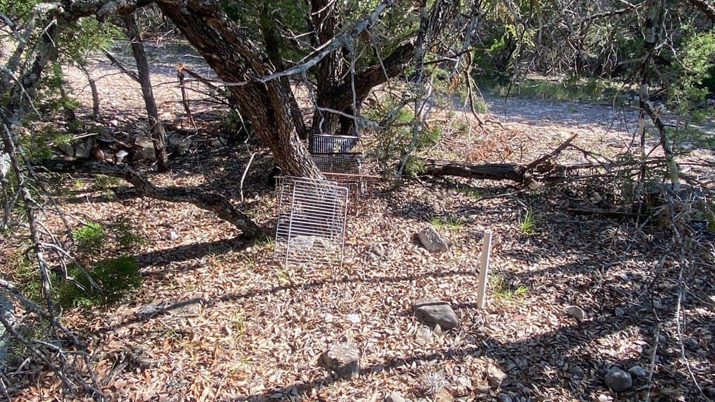 2.8 acres in Real County - photo 18