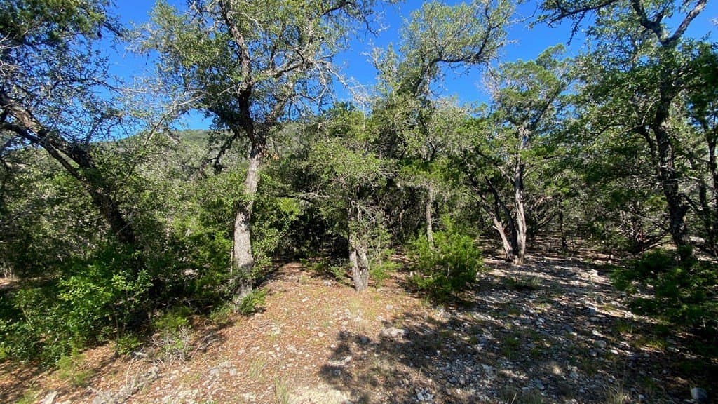2.8 acres in Real County - photo 11