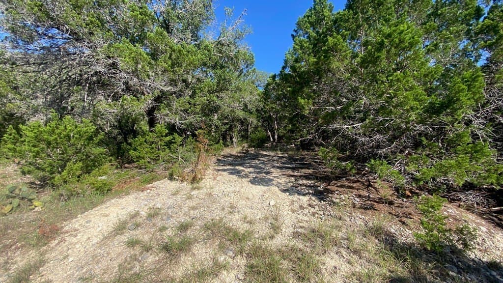2.8 acres in Real County gallery image 4