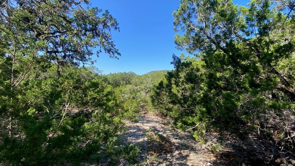 2.8 acres in Real County - photo 15