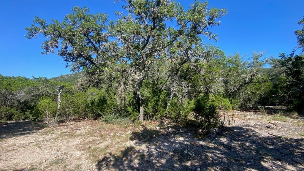 2.8 acres in Real County - photo 7