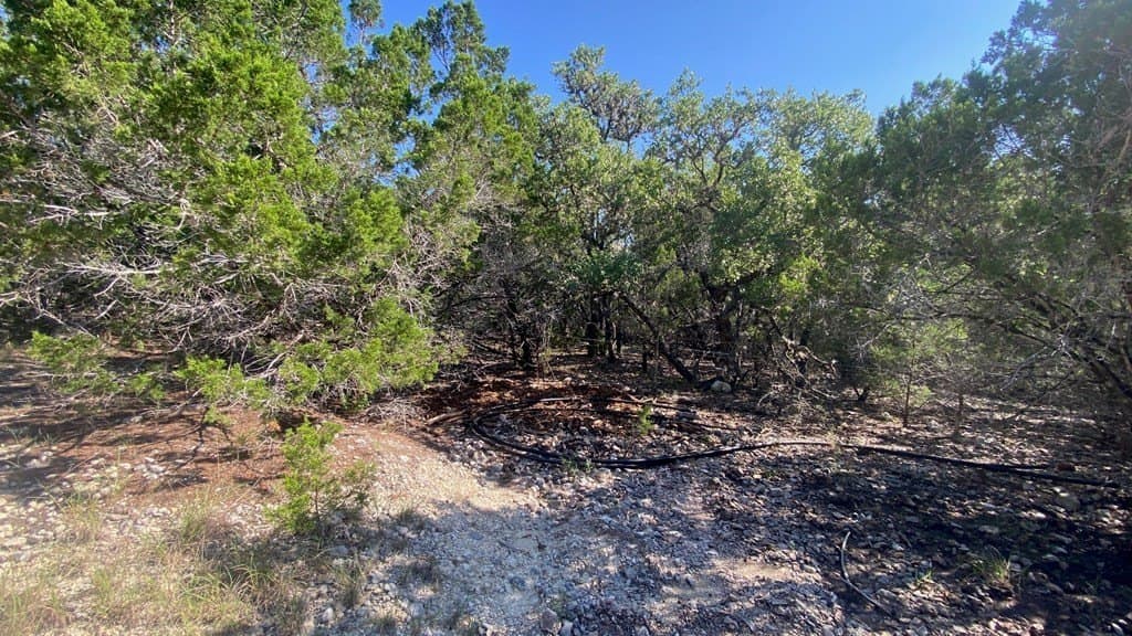 2.8 acres in Real County - photo 10