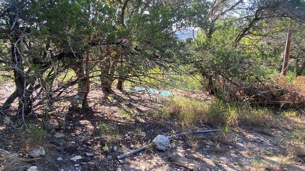 2.8 acres in Real County - photo 16