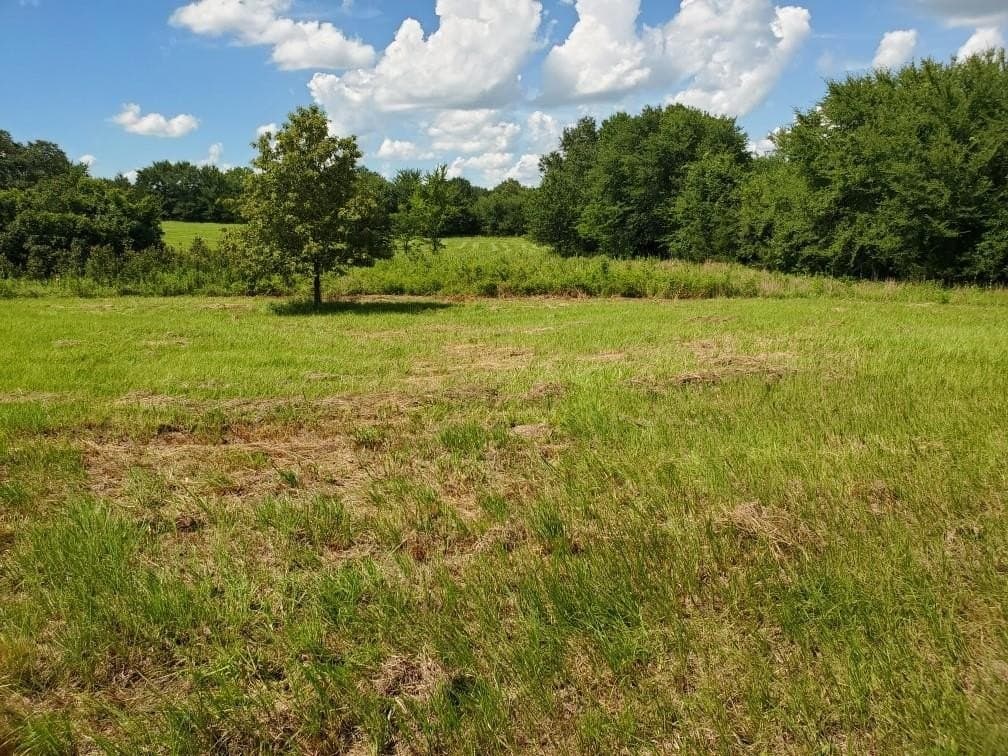 3.73 acres in Rains County featured view