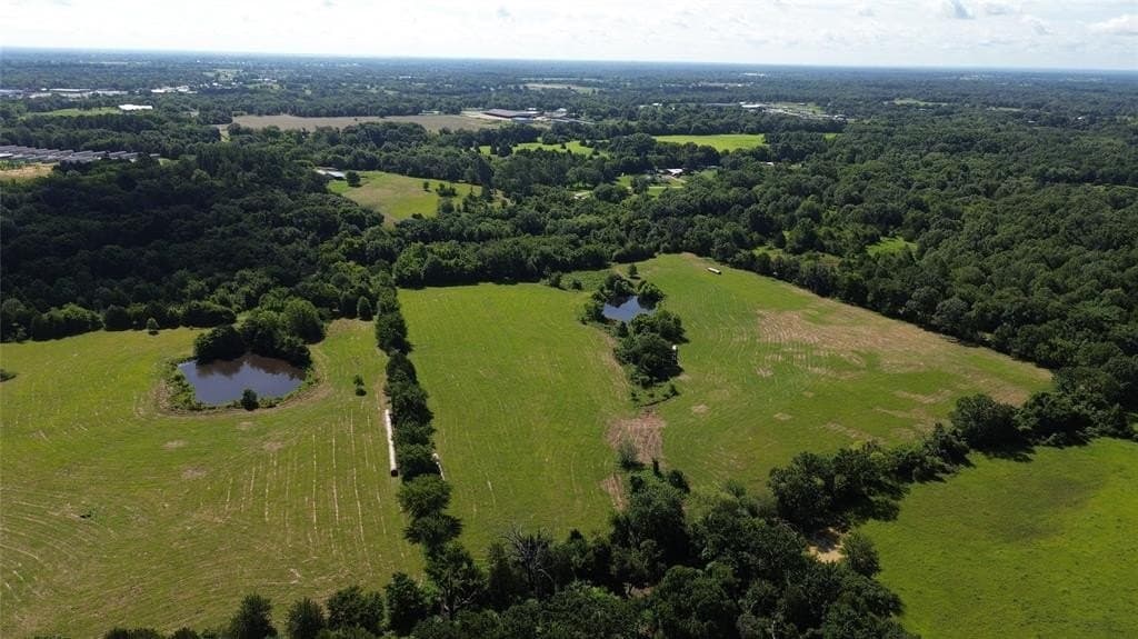 3.73 acres in Rains County gallery image 4