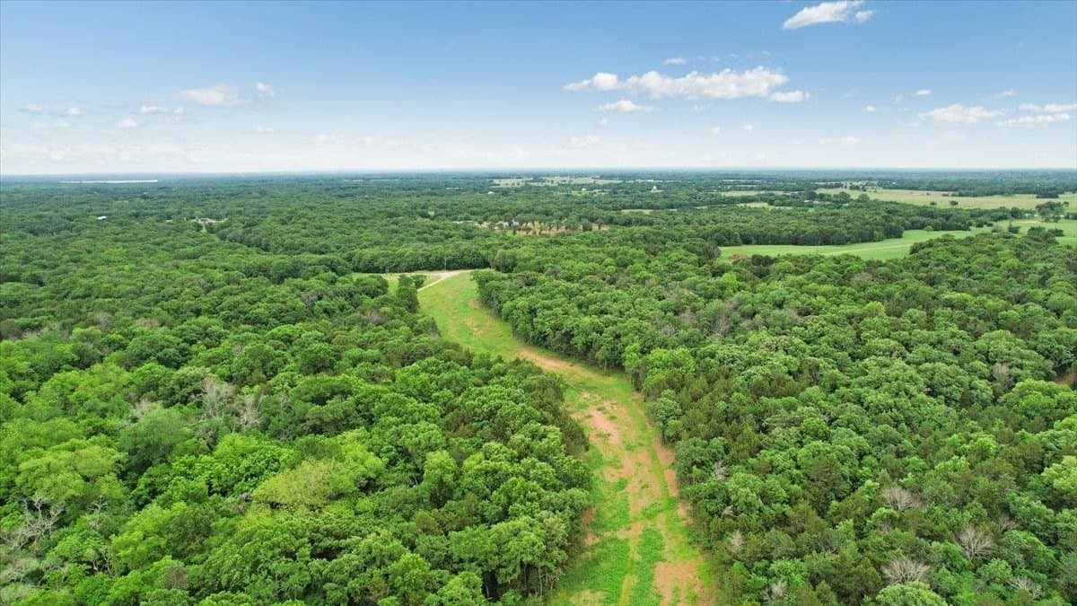 146.79 acres in Grayson County - photo 35