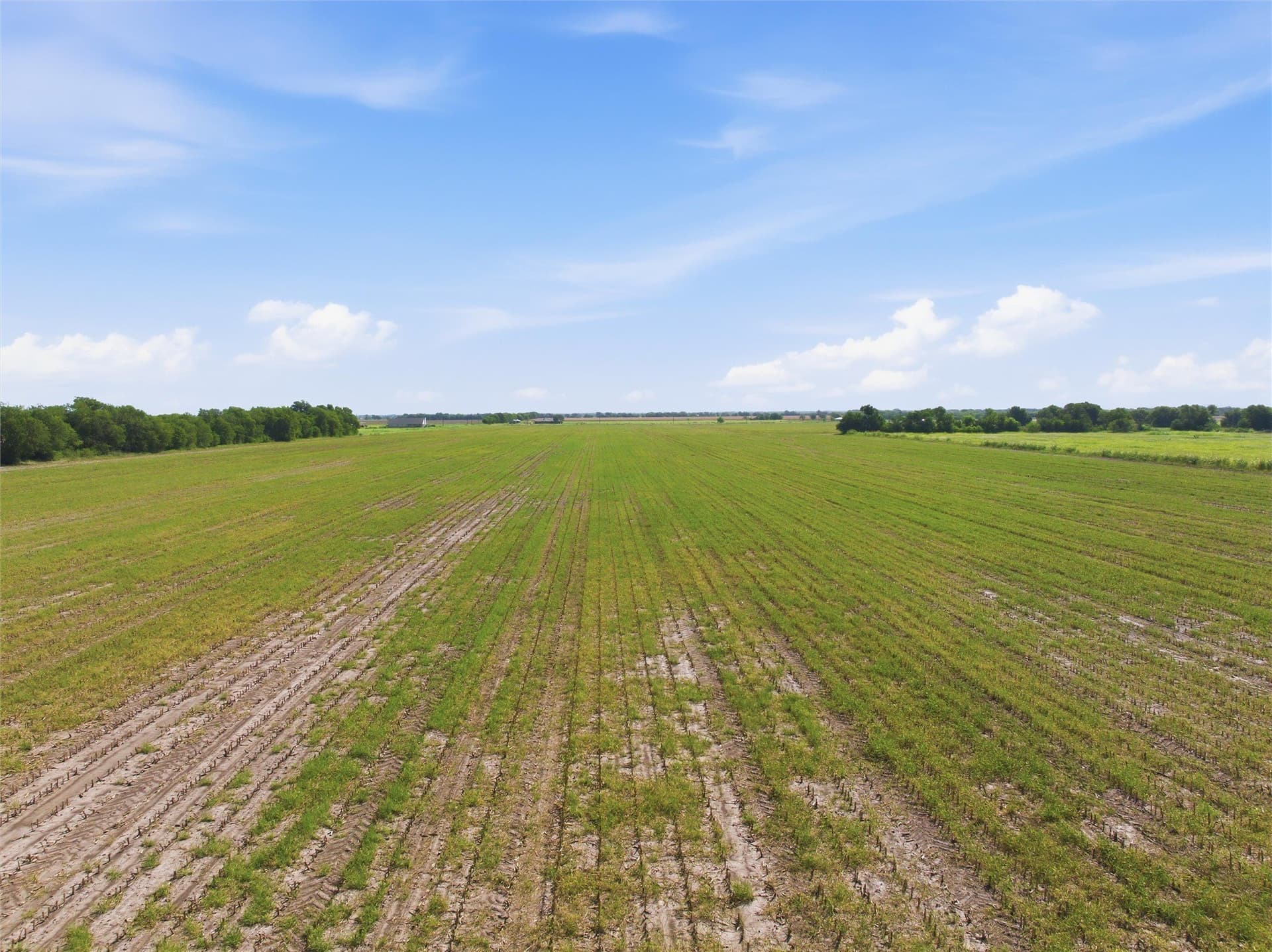 60.67 acres in McLennan County - photo 13