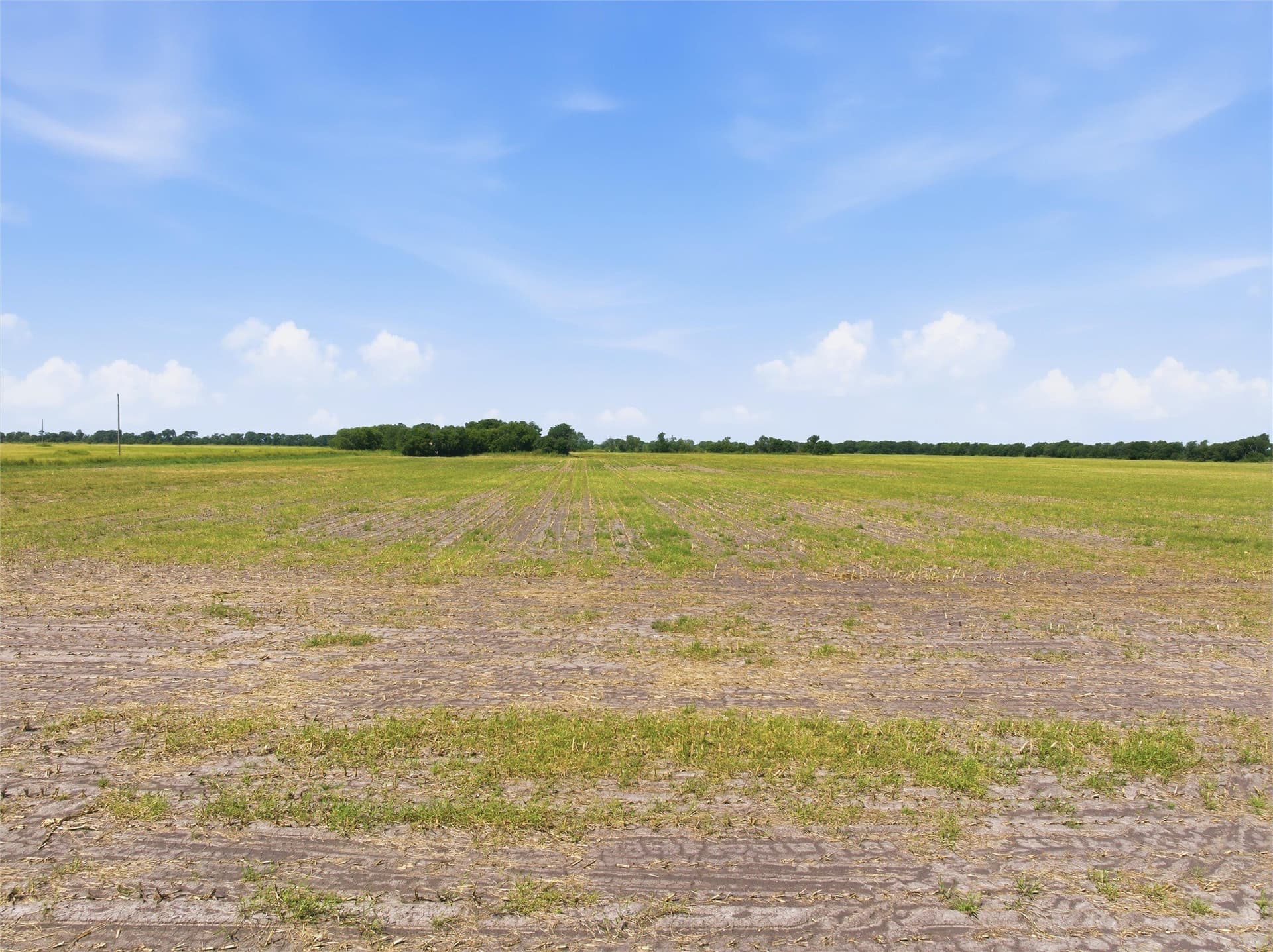 60.67 acres in McLennan County - photo 16