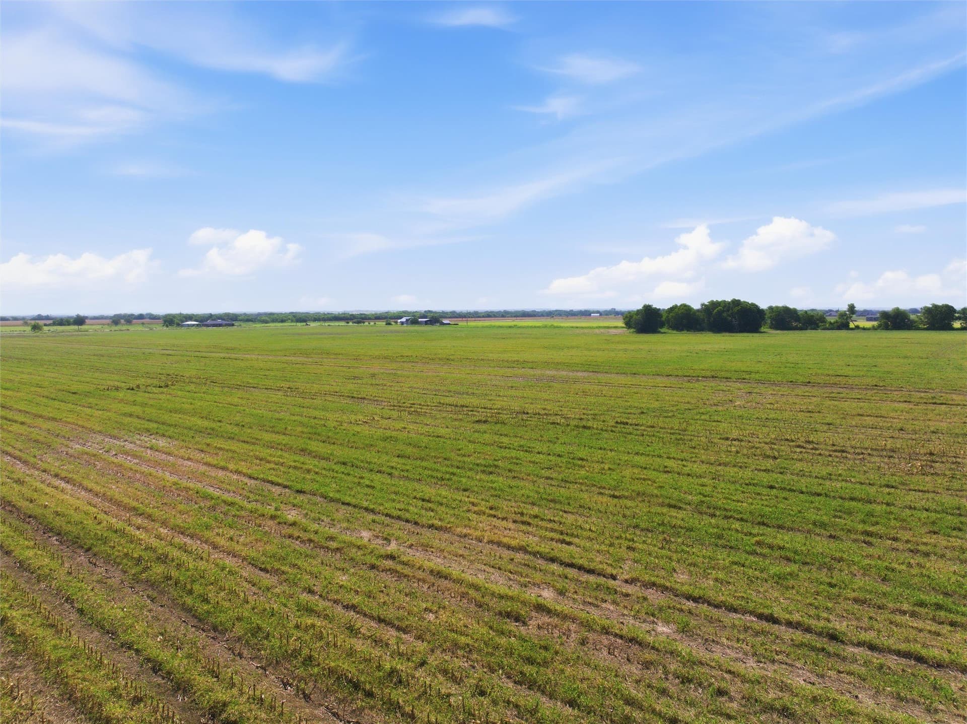 60.67 acres in McLennan County - photo 10