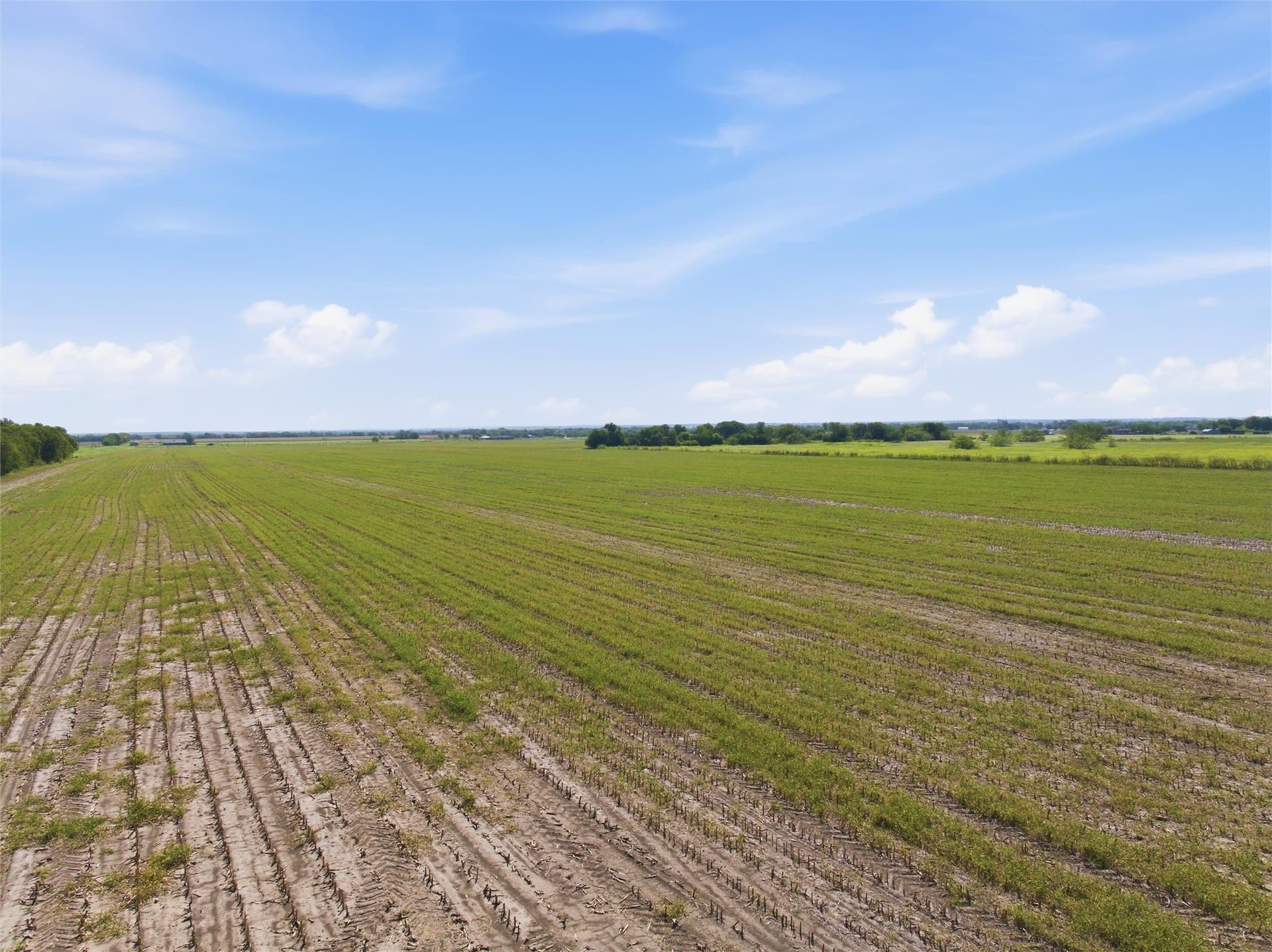 60.67 acres in McLennan County - photo 12
