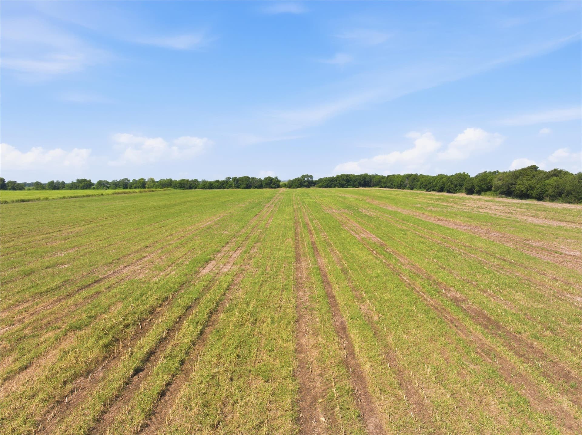 60.67 acres in McLennan County - photo 9