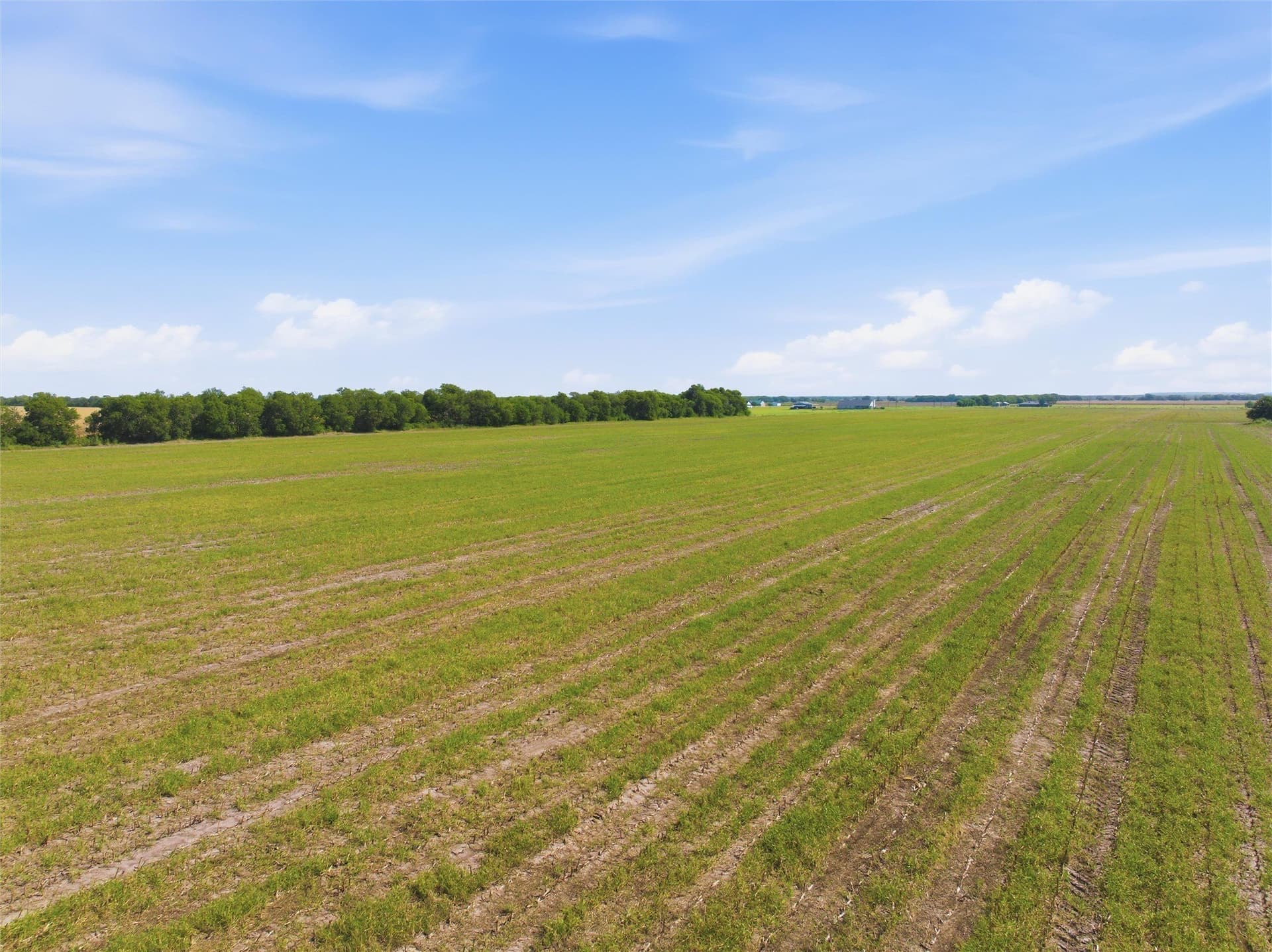 60.67 acres in McLennan County - photo 14