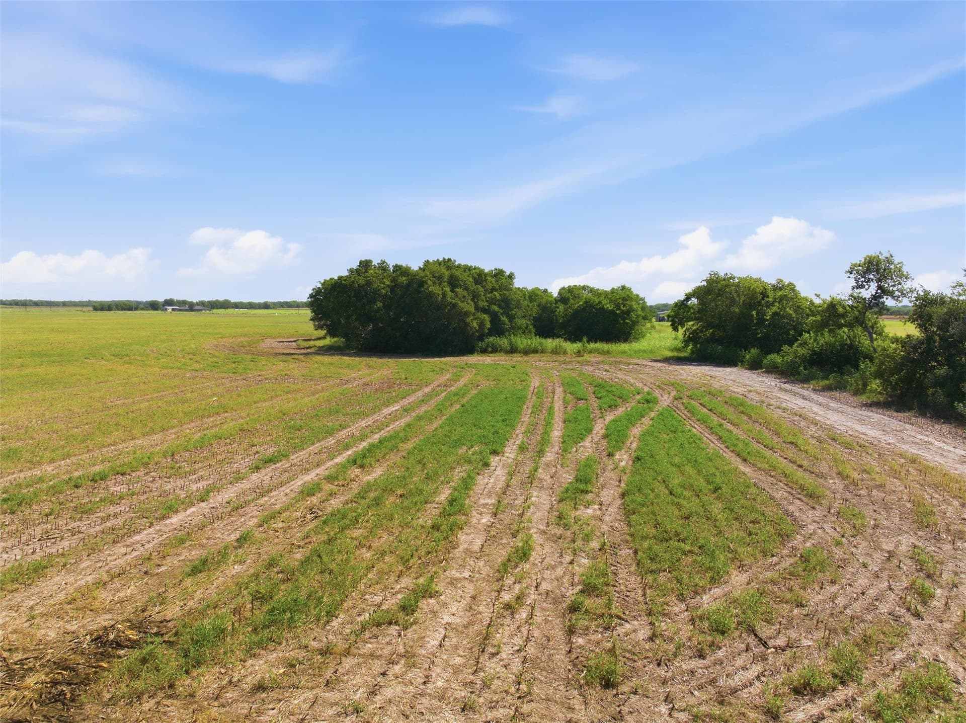 60.67 acres in McLennan County - photo 7