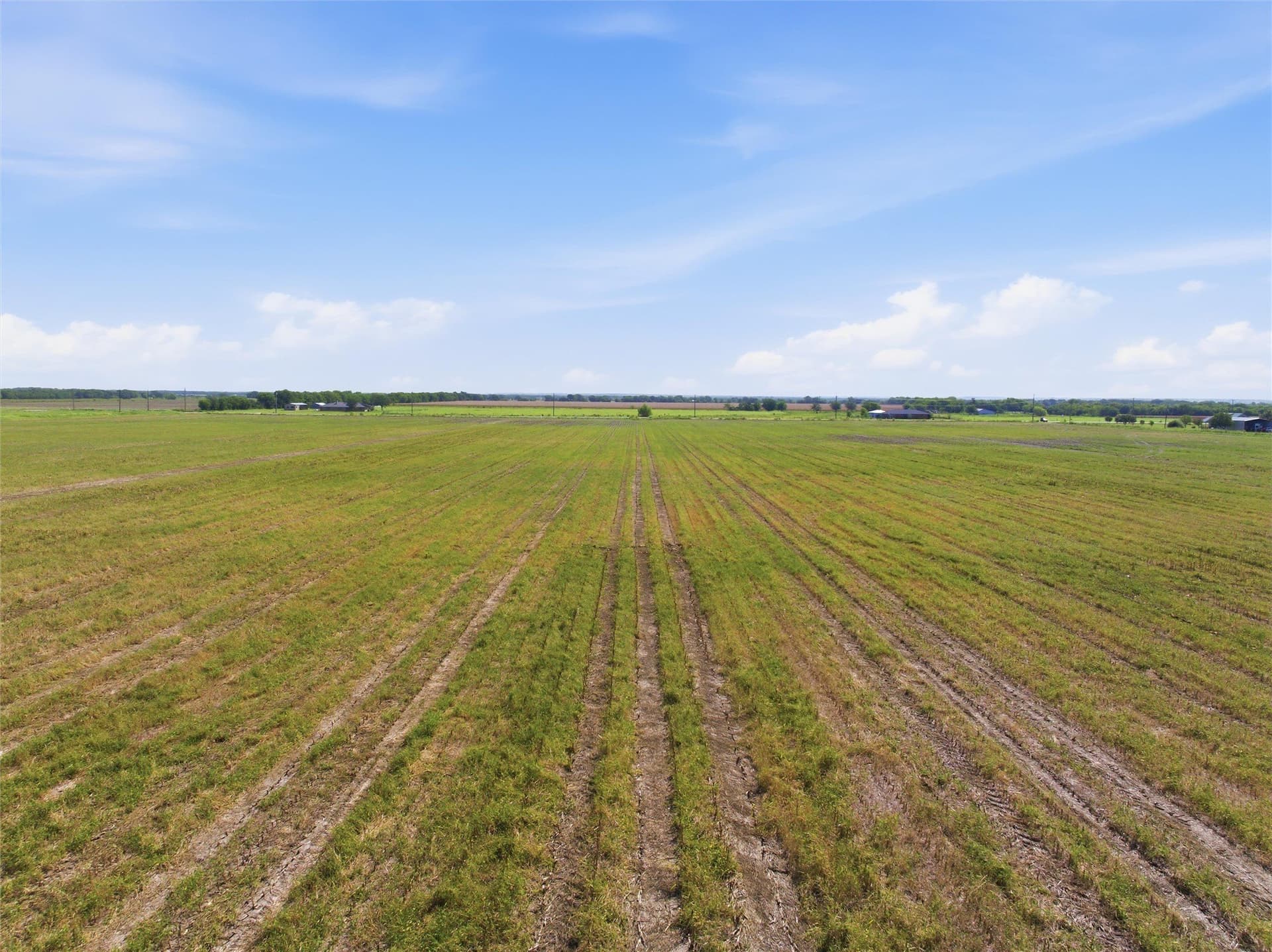 60.67 acres in McLennan County - photo 11