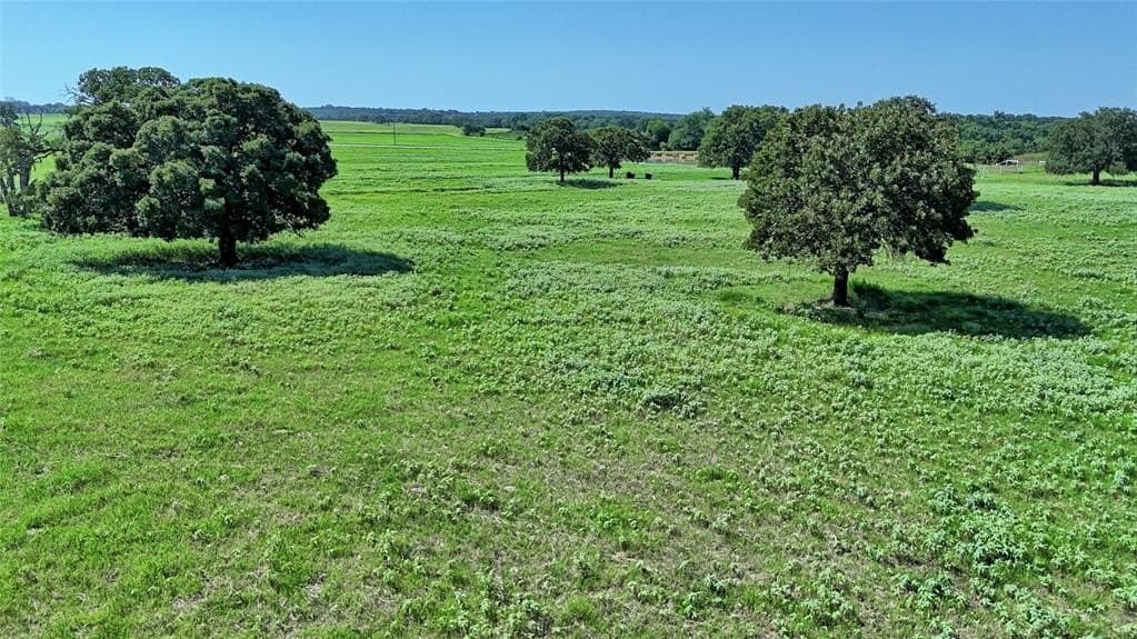 116 acres in Montague County gallery image 4