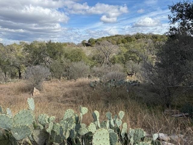0.29 acres in Llano County gallery image 2