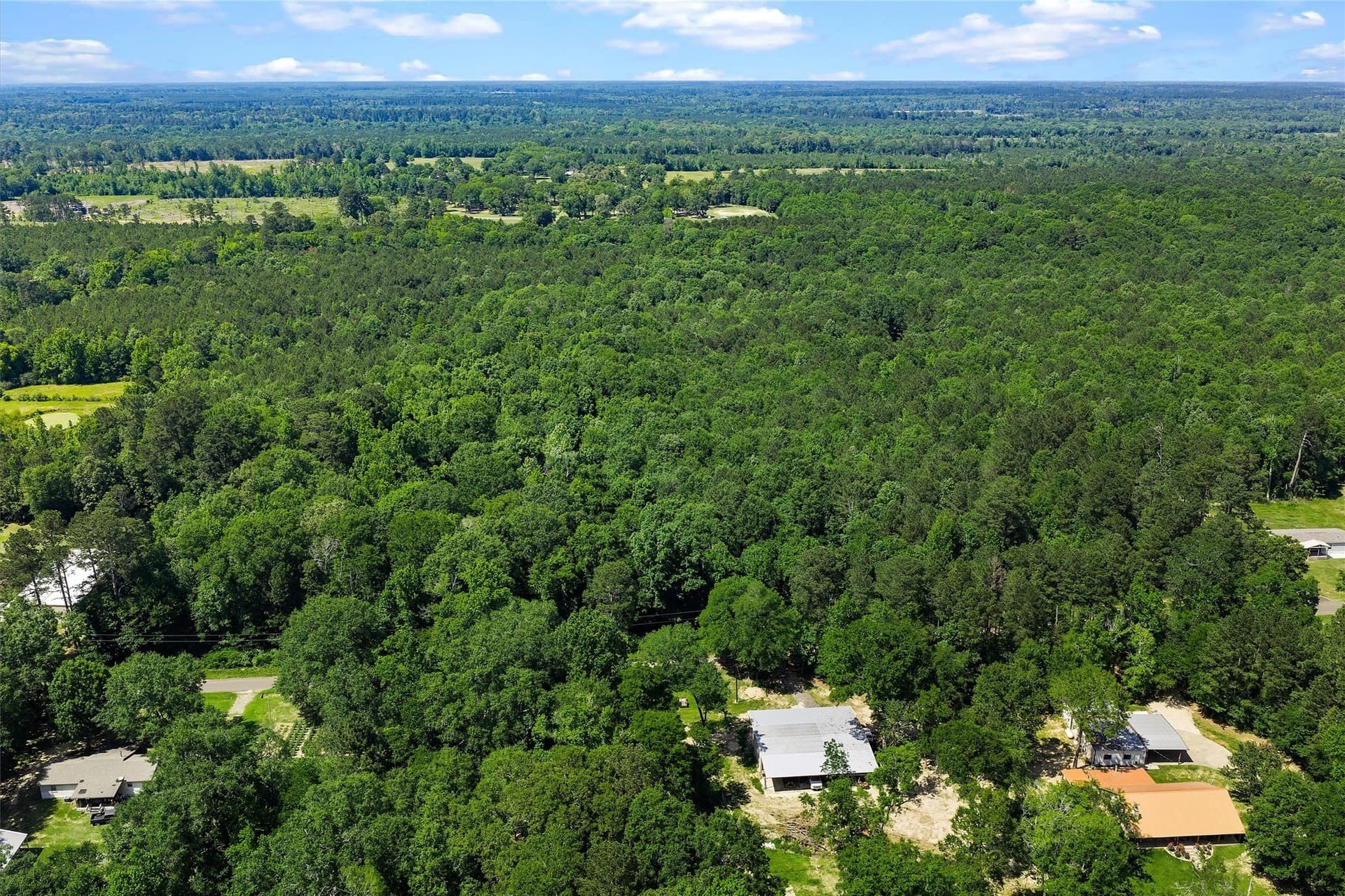 2 acres in Panola County - photo 8