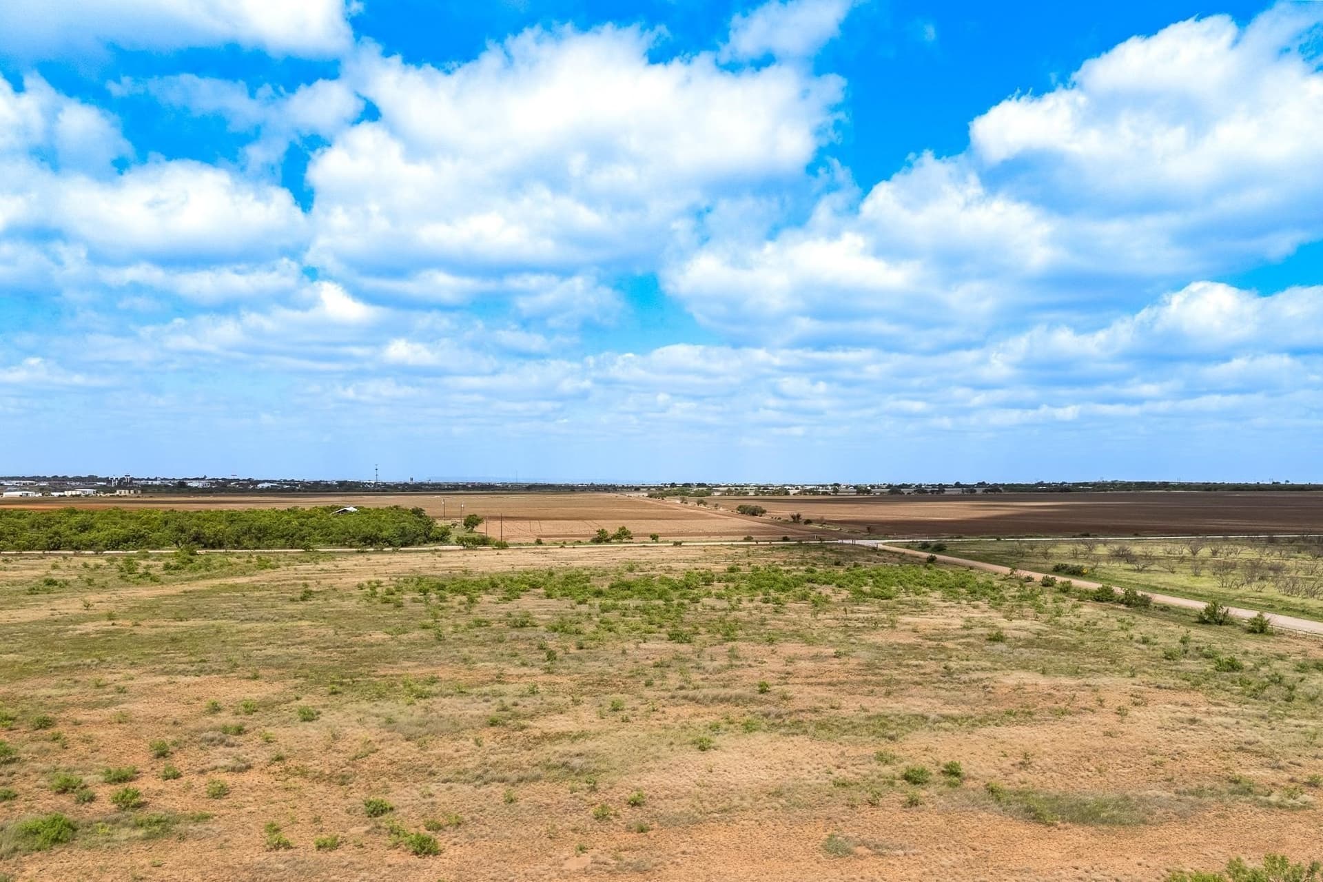 205.21 acres in Taylor County - photo 7