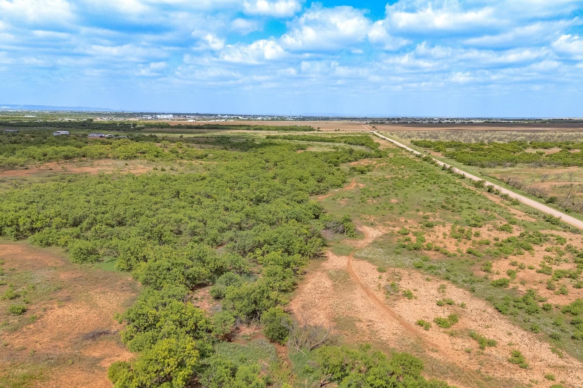 205.21 acres in Taylor County - photo 16