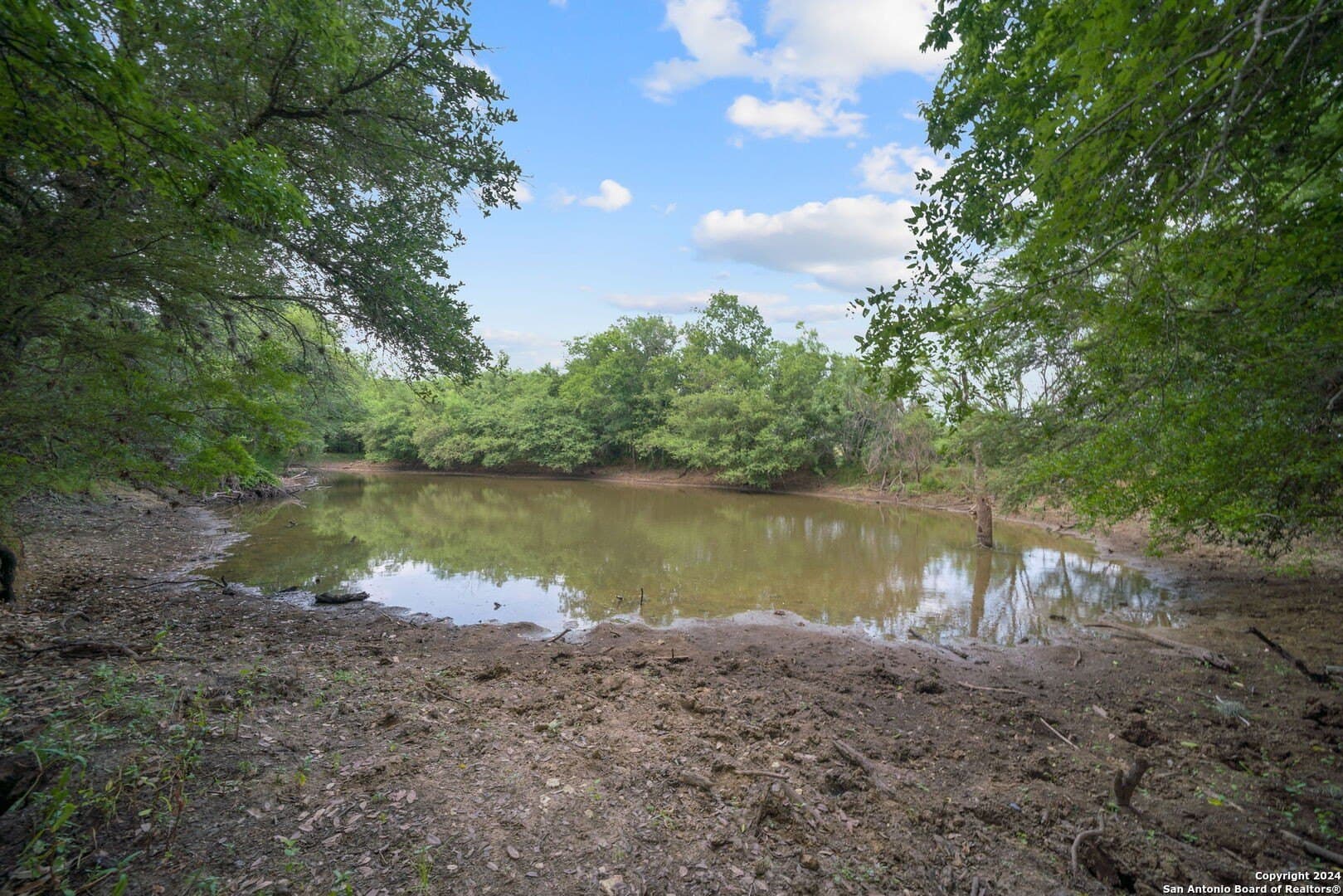 44 acres in Bexar County - photo 56