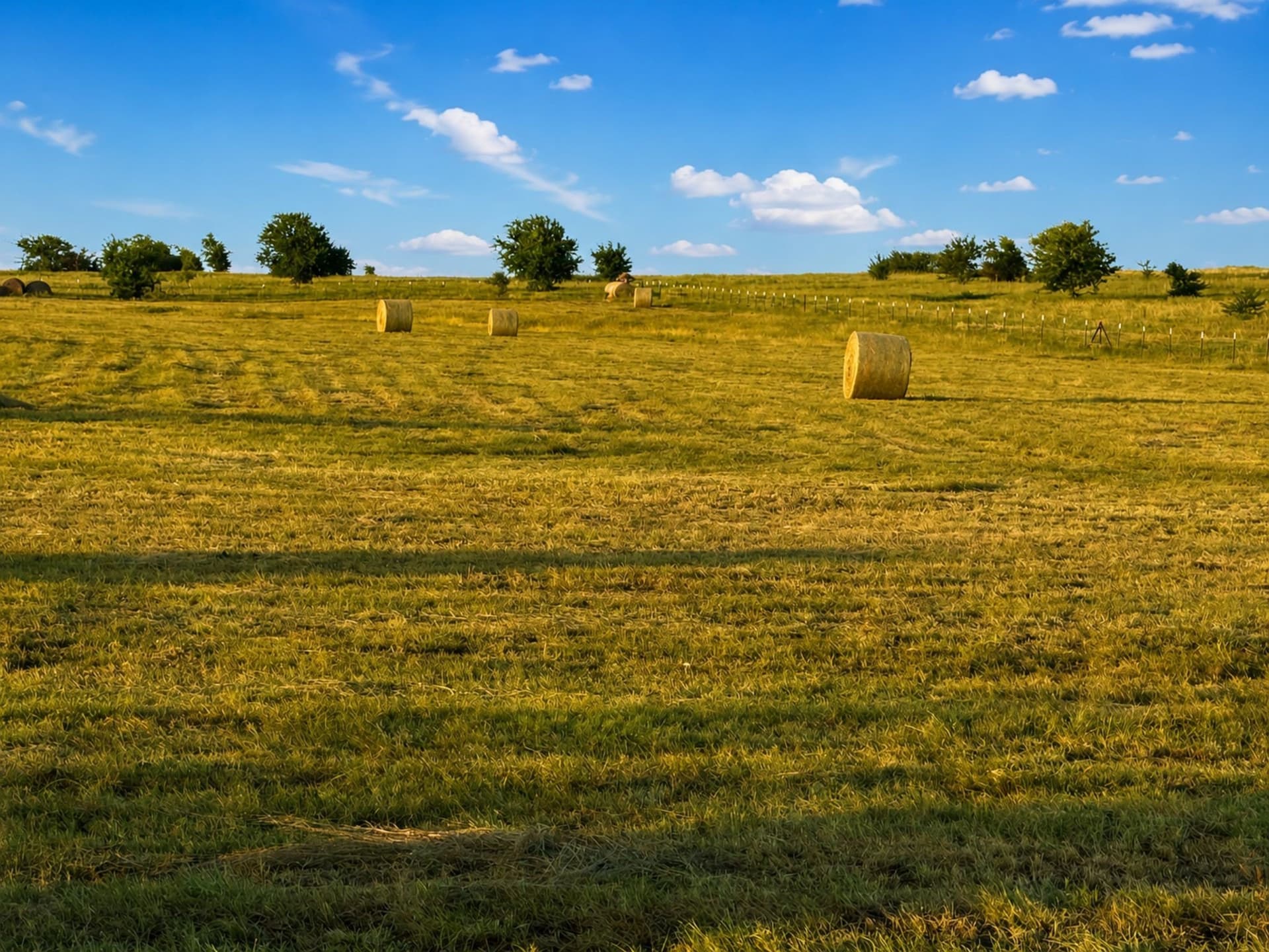 6.02 acres in Wise County - photo 2