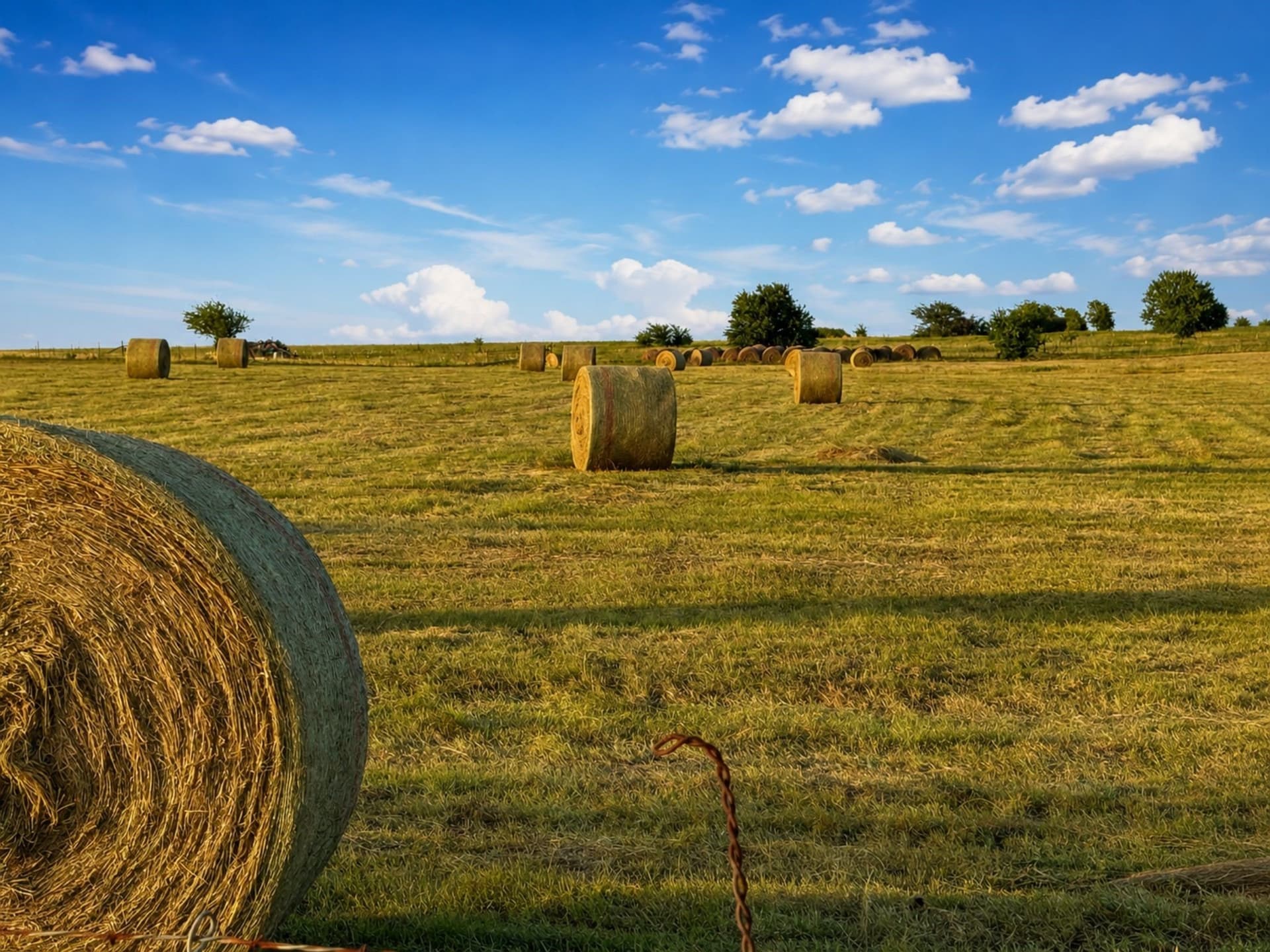 6.02 acres in Wise County