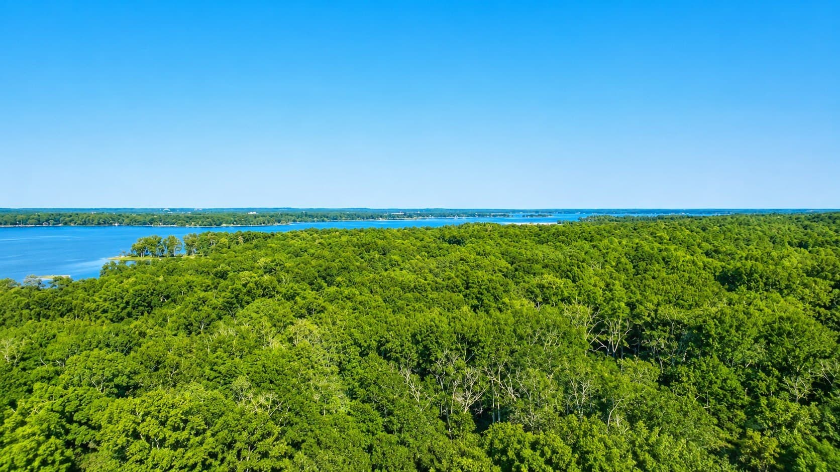 1.71 acres in Henderson County - photo 4