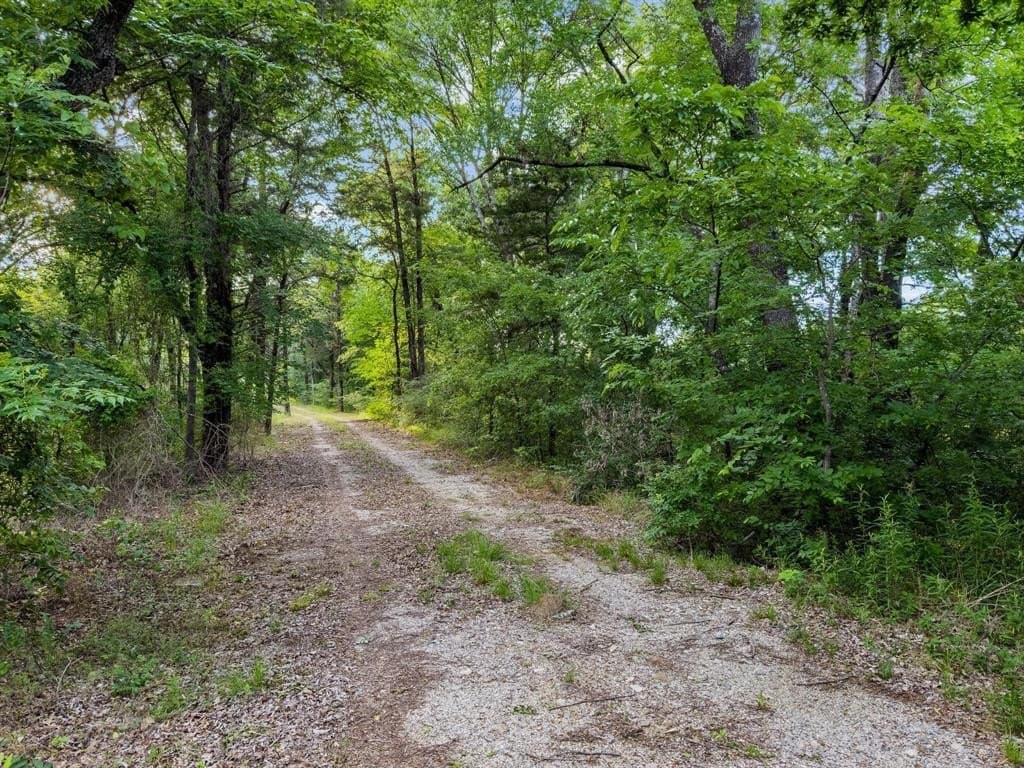 12.26 acres in Grayson County gallery image 4