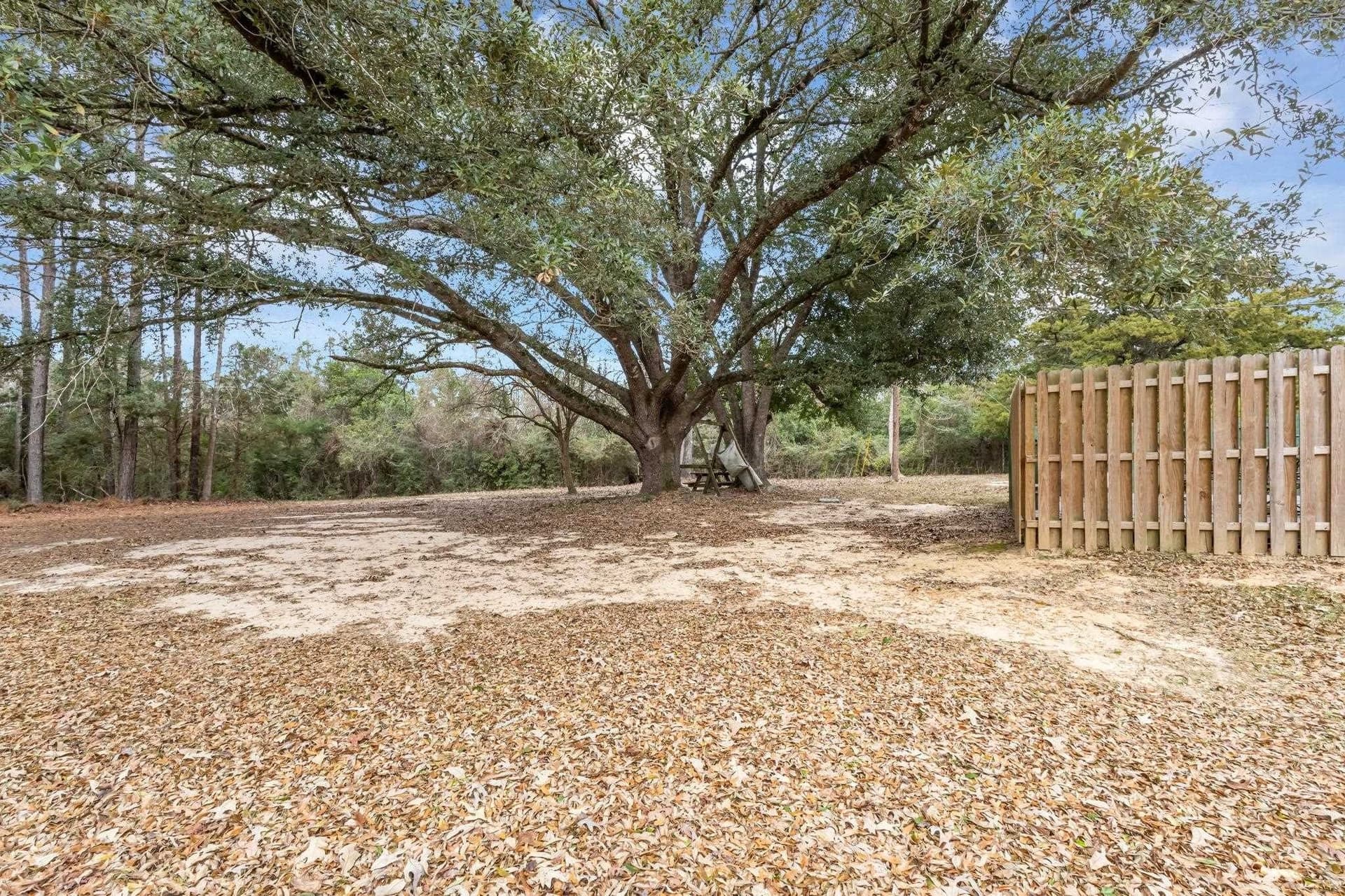 50.14 acres in Texas County - photo 23
