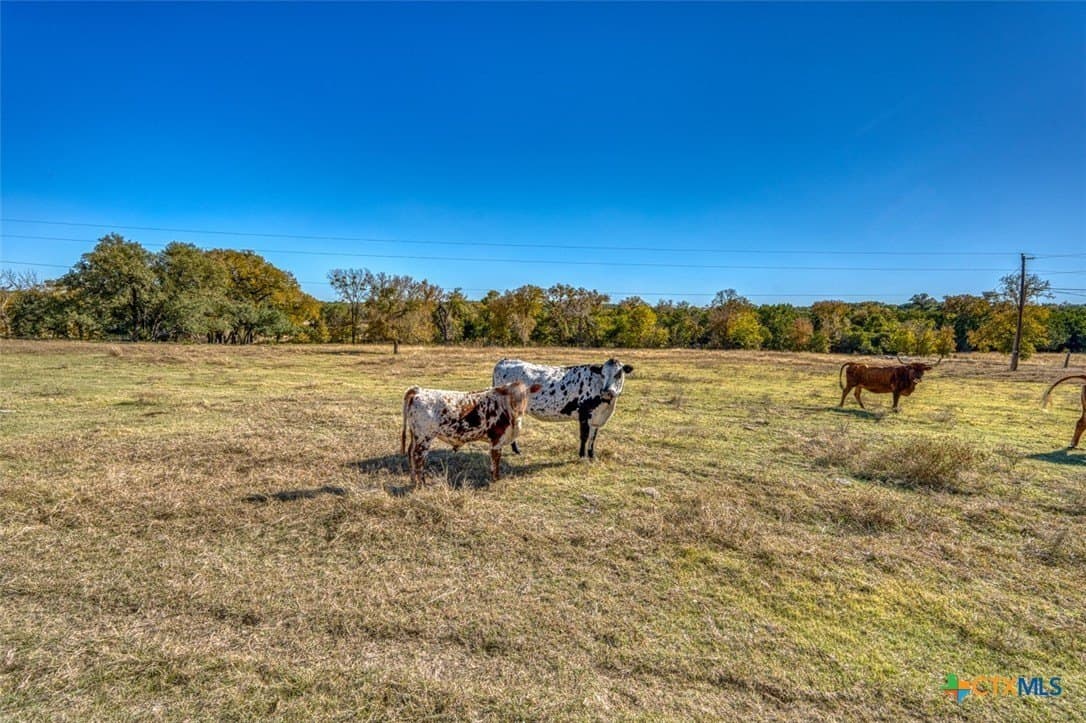 167 acres in Bell County - photo 7
