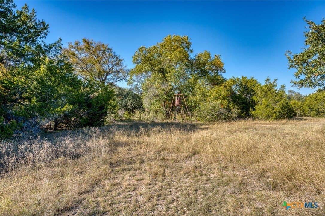 167 acres in Bell County - photo 20
