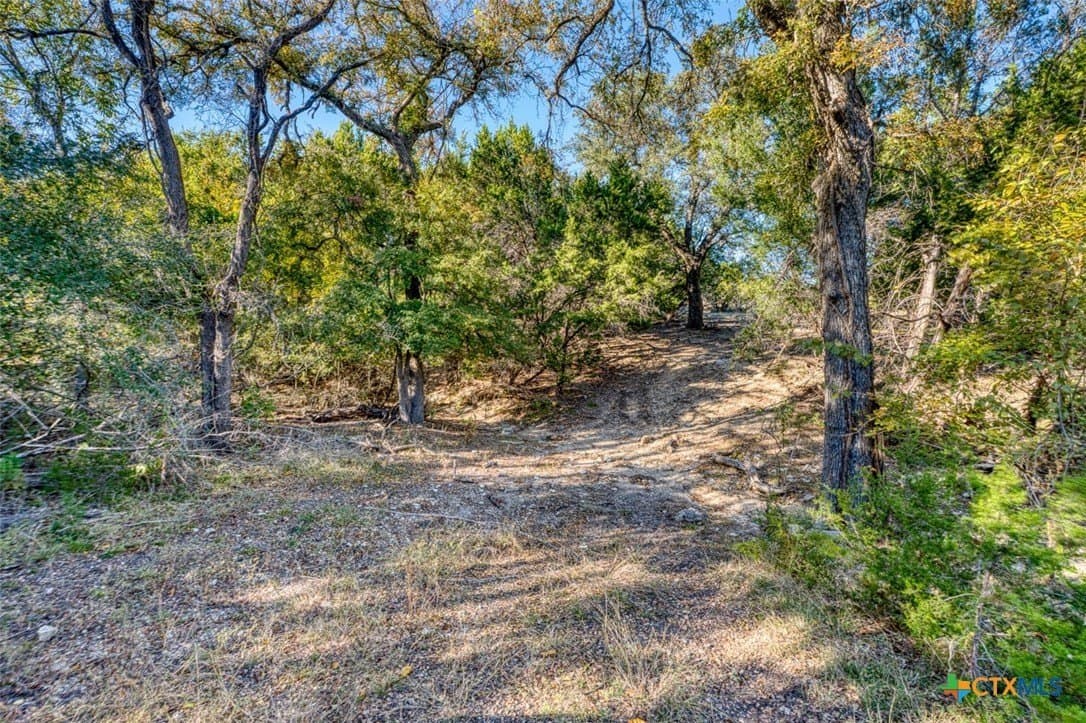 167 acres in Bell County - photo 26